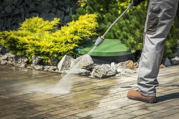 Best Pre-Holiday Cleaning  in Egan, LA