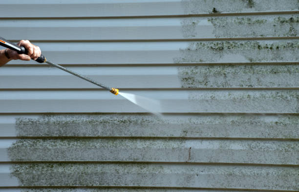 Solar Panel Cleaning in Egan, LA